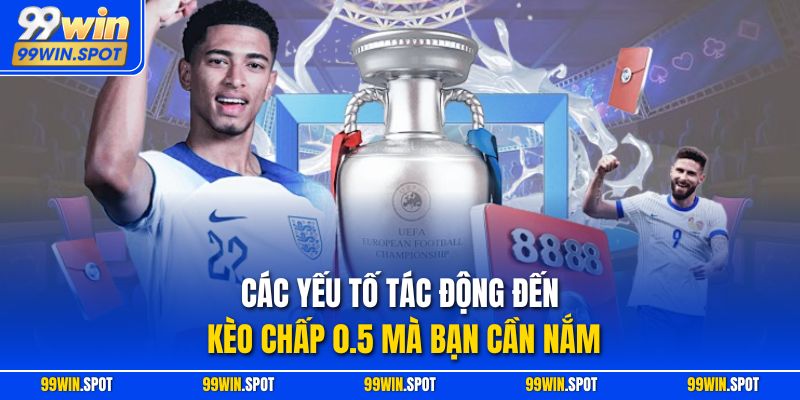 Các yếu tố tác động đến kèo chấp 0.5 mà bạn cần nắm