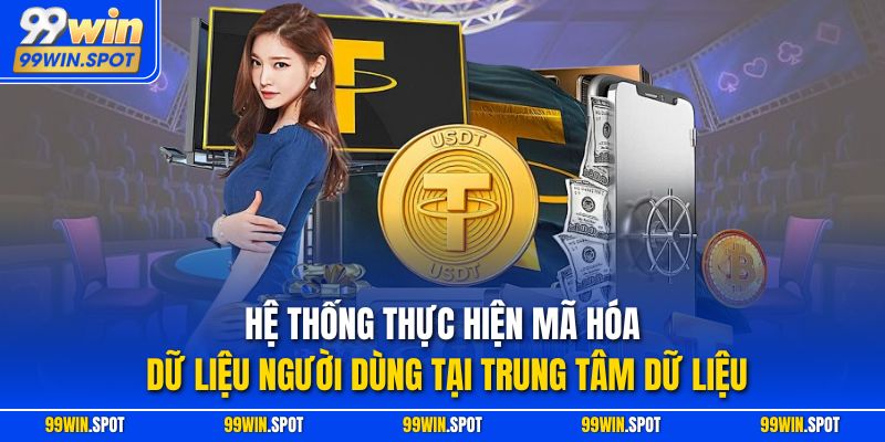 Hệ thống thực hiện mã hóa dữ liệu người dùng tại trung tâm dữ liệu
